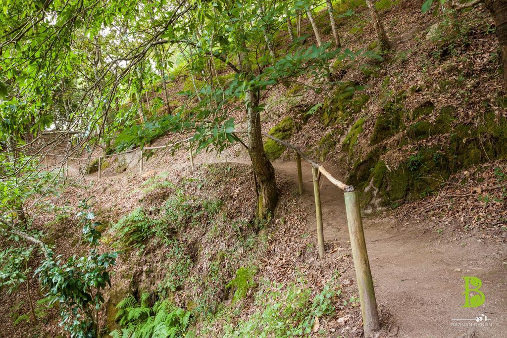 Quinta Da Bouca - Agroturismo Pacos de Gaiolo Стая снимка