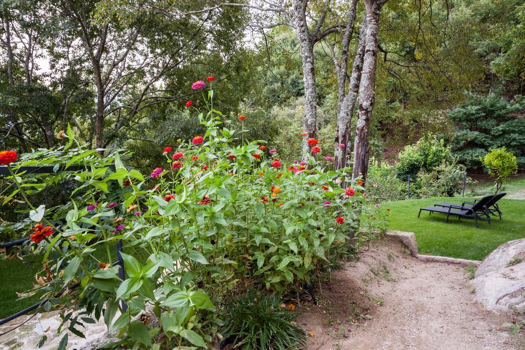 Quinta Da Bouca - Agroturismo Pacos de Gaiolo Стая снимка